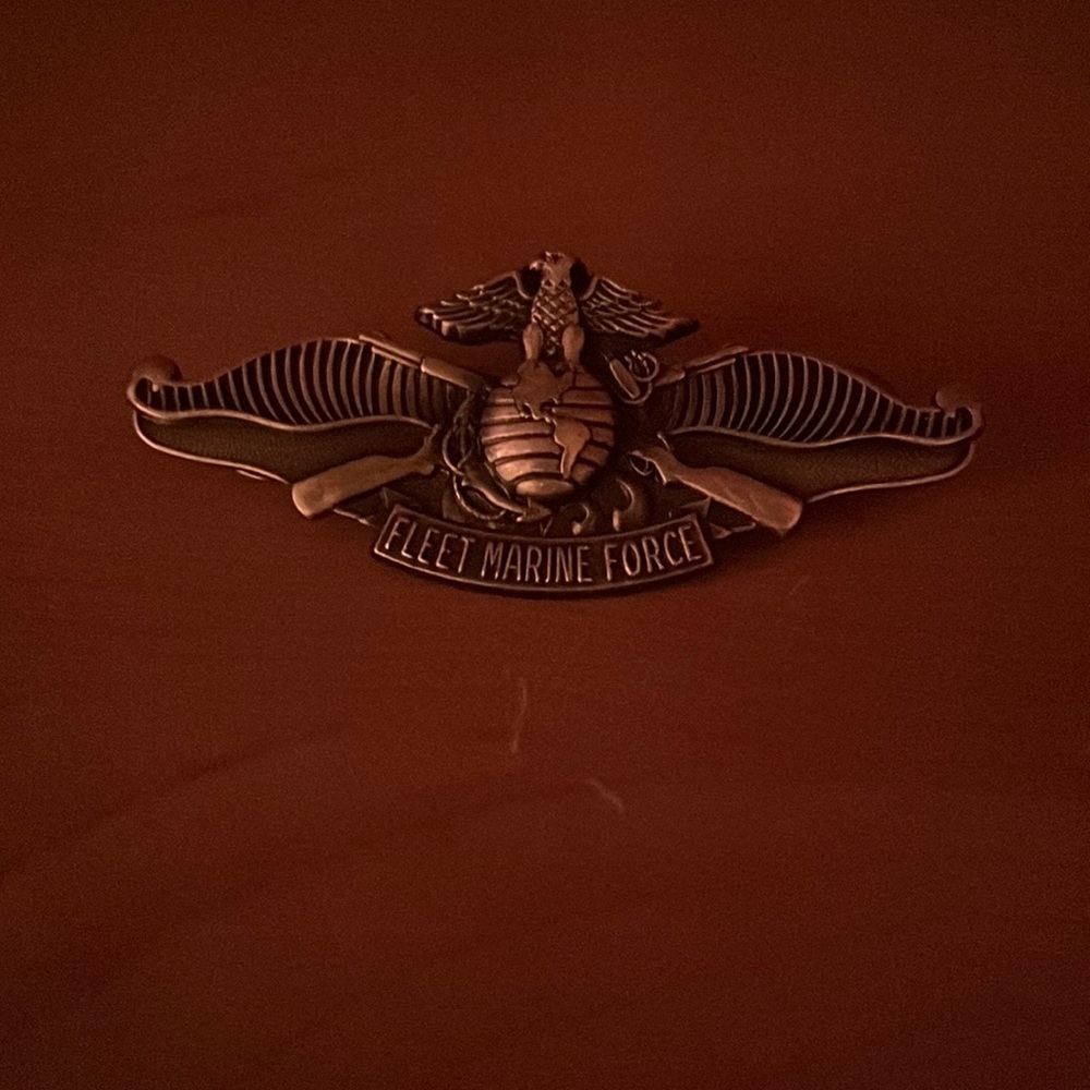 Us navy fleet marine force pin